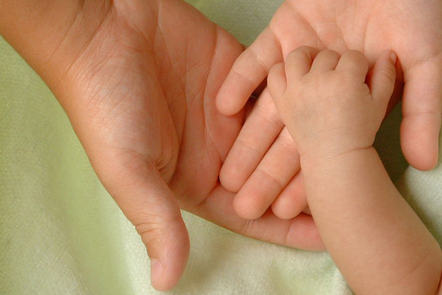 <img src="images/logo_proxeed_big.png" alt="proxeed plus logo" />